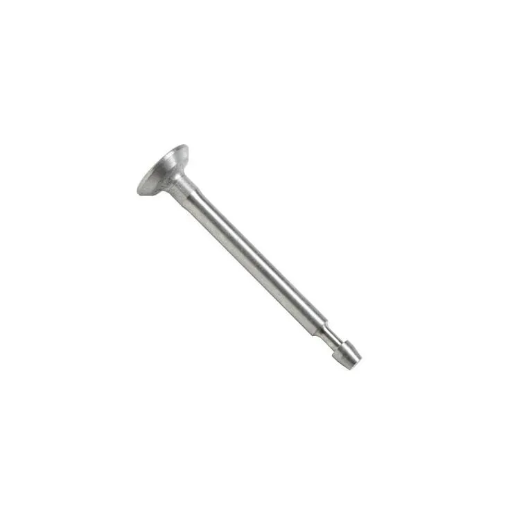 Intake valve  792200 Briggs & Stratton 697464