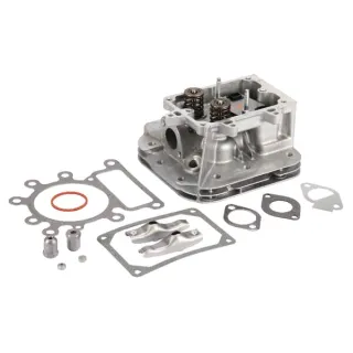 Cylinder head  796183 Briggs & Stratton 792964