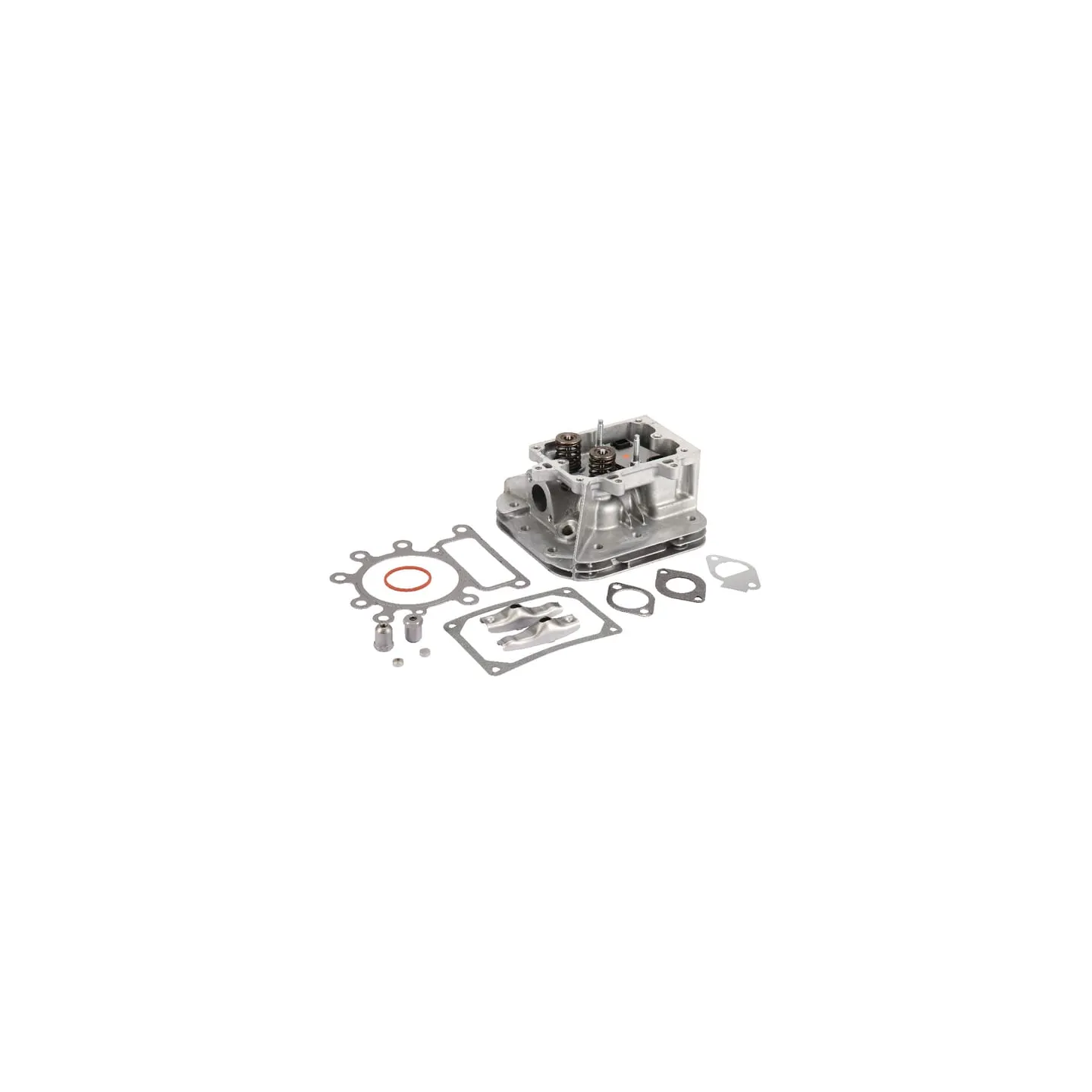 Cilindra galva 796183 Briggs & Stratton 792964