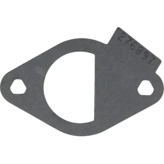 Ieplūdes blīve 796081 Briggs & Stratton