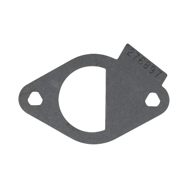 Ieplūdes blīve 796081 Briggs & Stratton