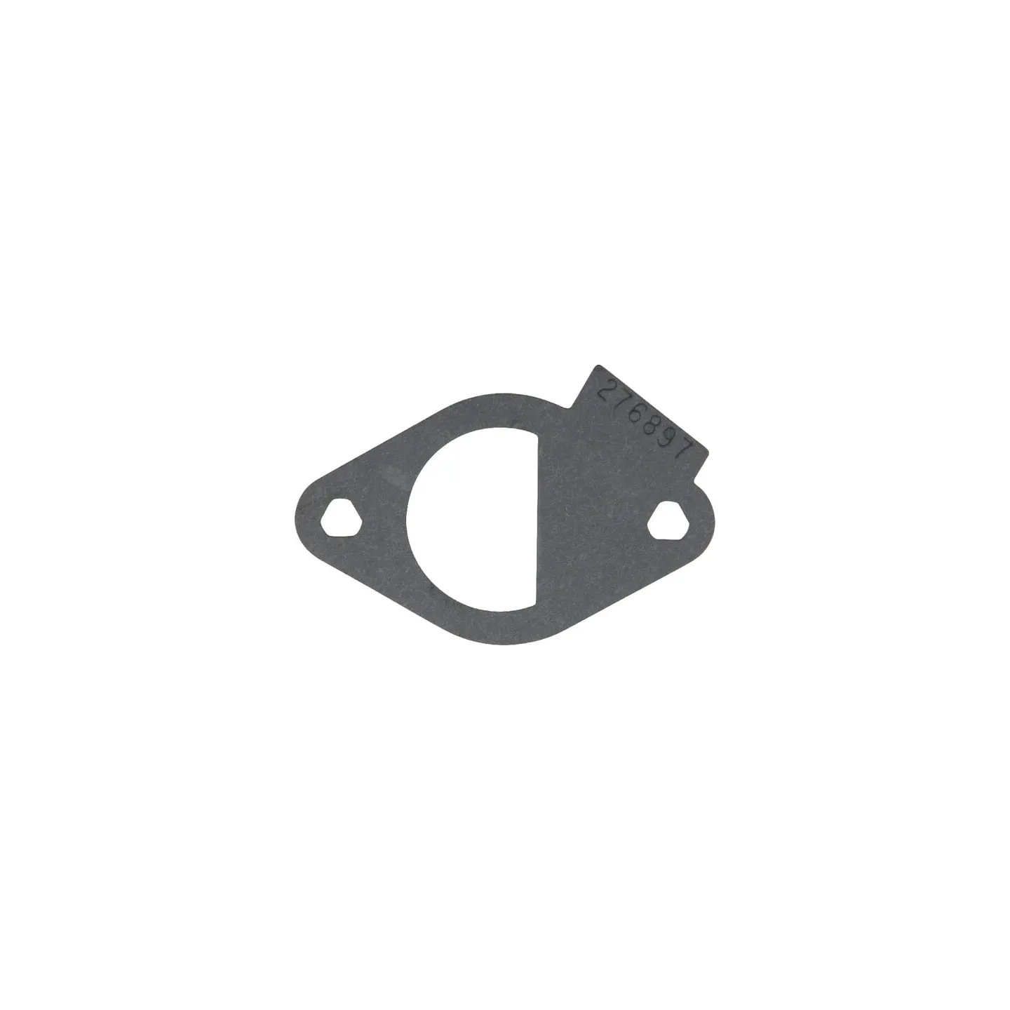 Ieplūdes blīve 796081 Briggs & Stratton