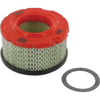 Air filter  797819 Briggs & Stratton