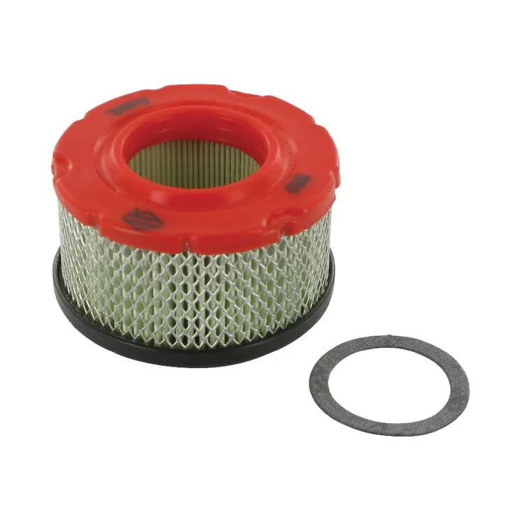 Gaisa filtrs 797819 Briggs & Stratton