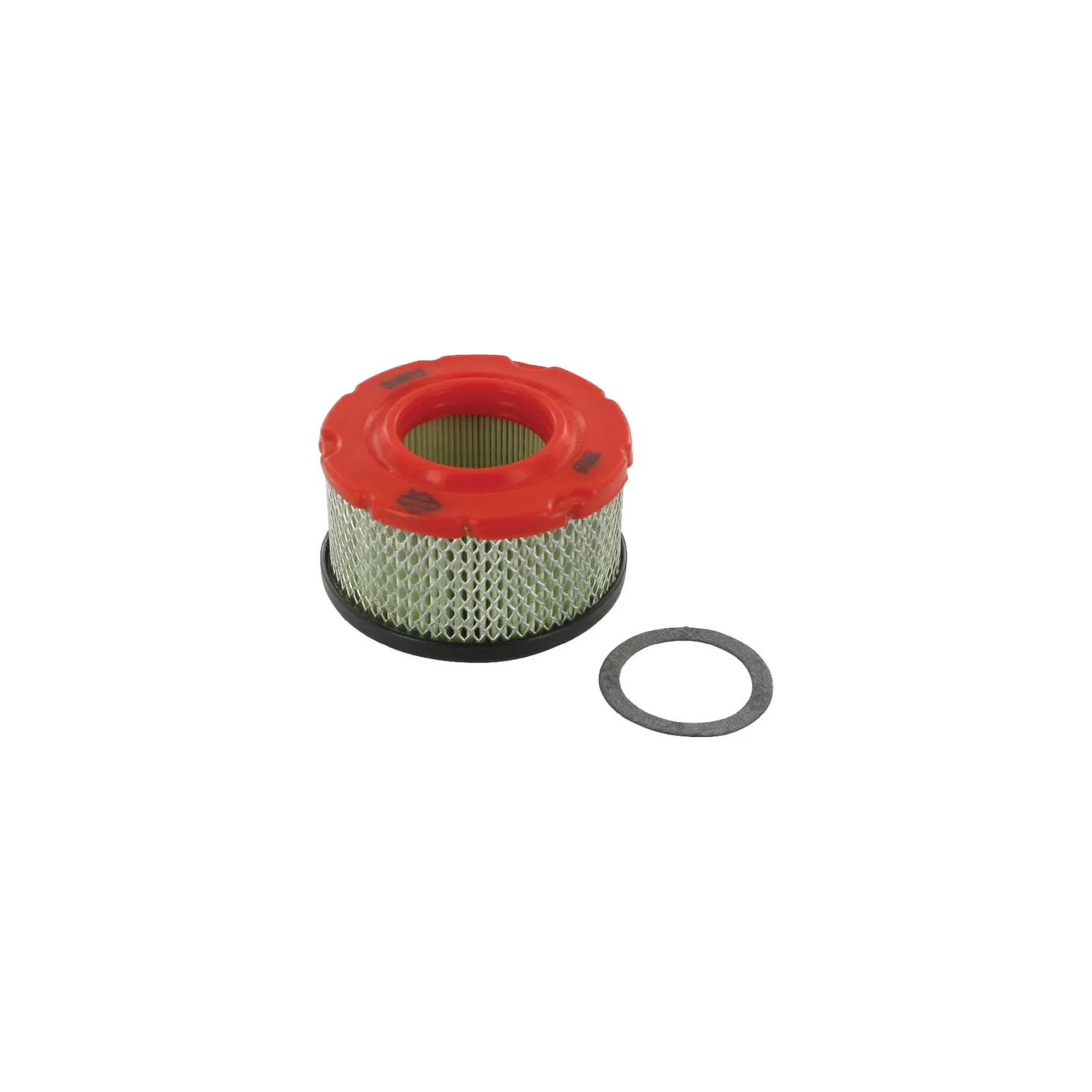 Air filter  797819 Briggs & Stratton
