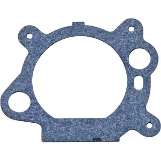Filter gasket  795629 Briggs & Stratton 272653S