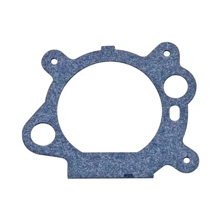 Filter gasket  795629 Briggs & Stratton 272653S