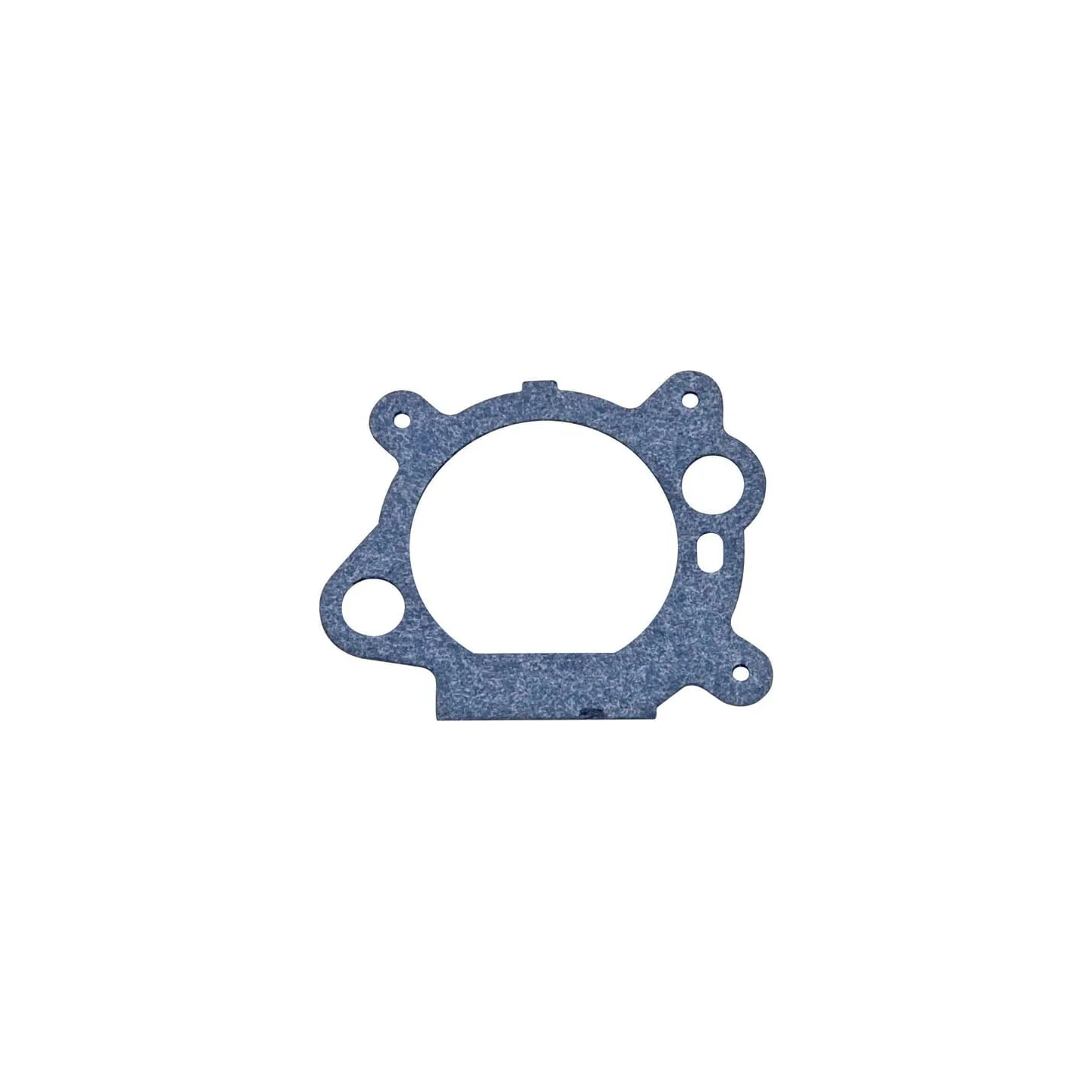 Filter gasket  795629 Briggs & Stratton 272653S