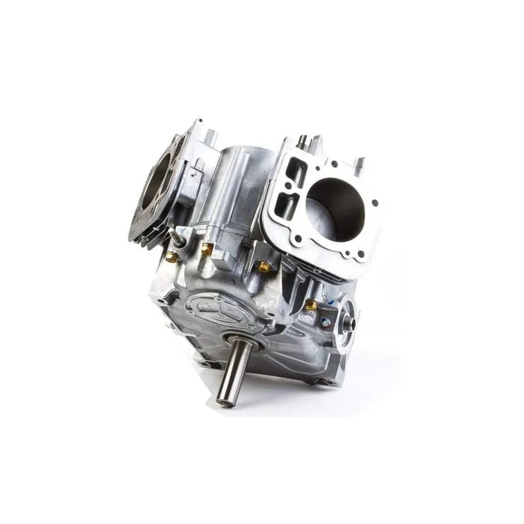 Short block model 44Q7 B&S  797093A Briggs & Stratton 692714 693893 698172 698177 797093