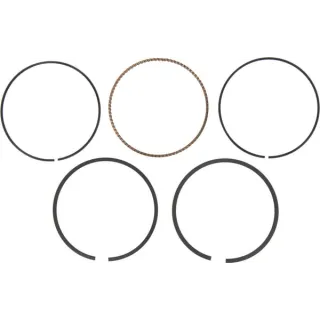 Ring set-020  795432 Briggs & Stratton