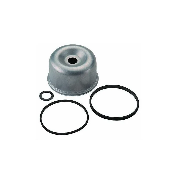 Float bowl  796611 Briggs & Stratton 493640