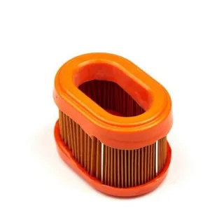 Air filter  790166 Briggs & Stratton