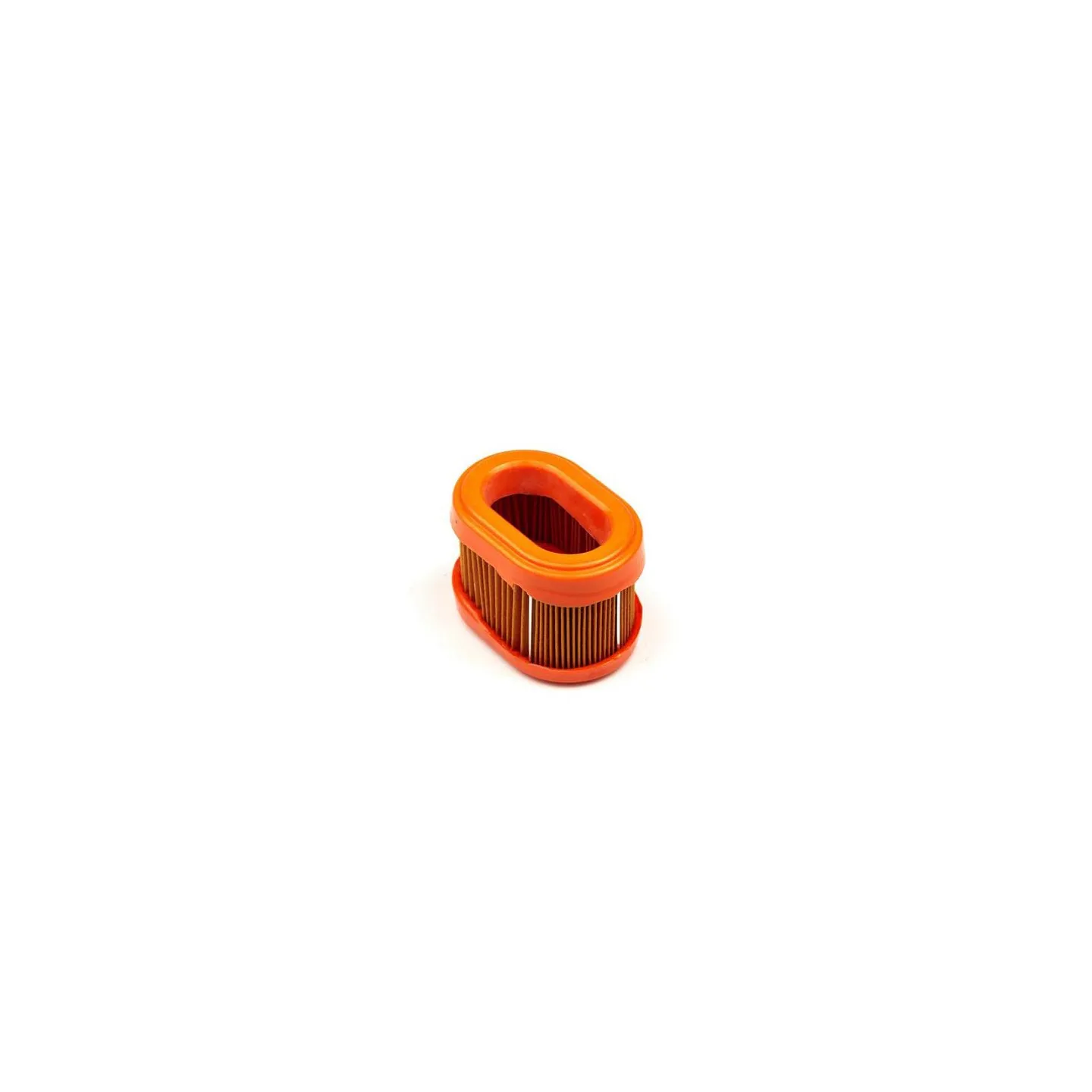 Air filter  790166 Briggs & Stratton