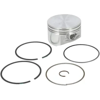 Piston assembly-020  793648 Briggs & Stratton