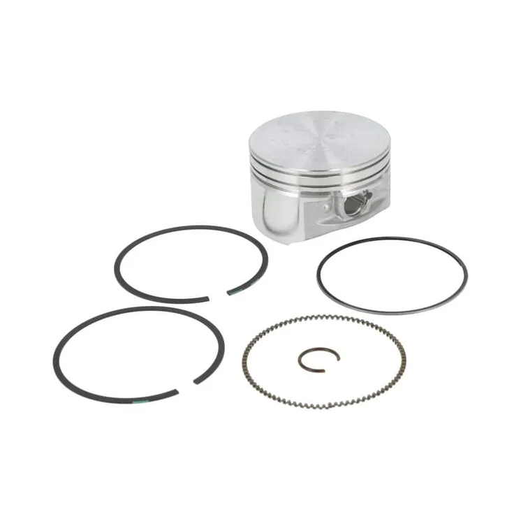 Piston assembly-020  793648 Briggs & Stratton
