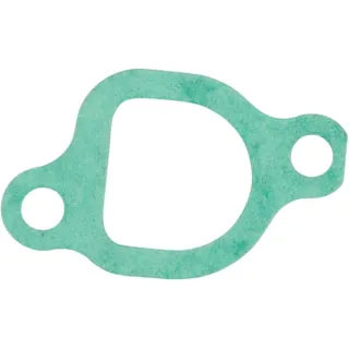 Blīve-Ieplūde 797192 Briggs & Stratton