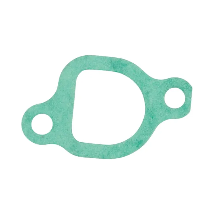 Gasket-Intake  797192 Briggs & Stratton
