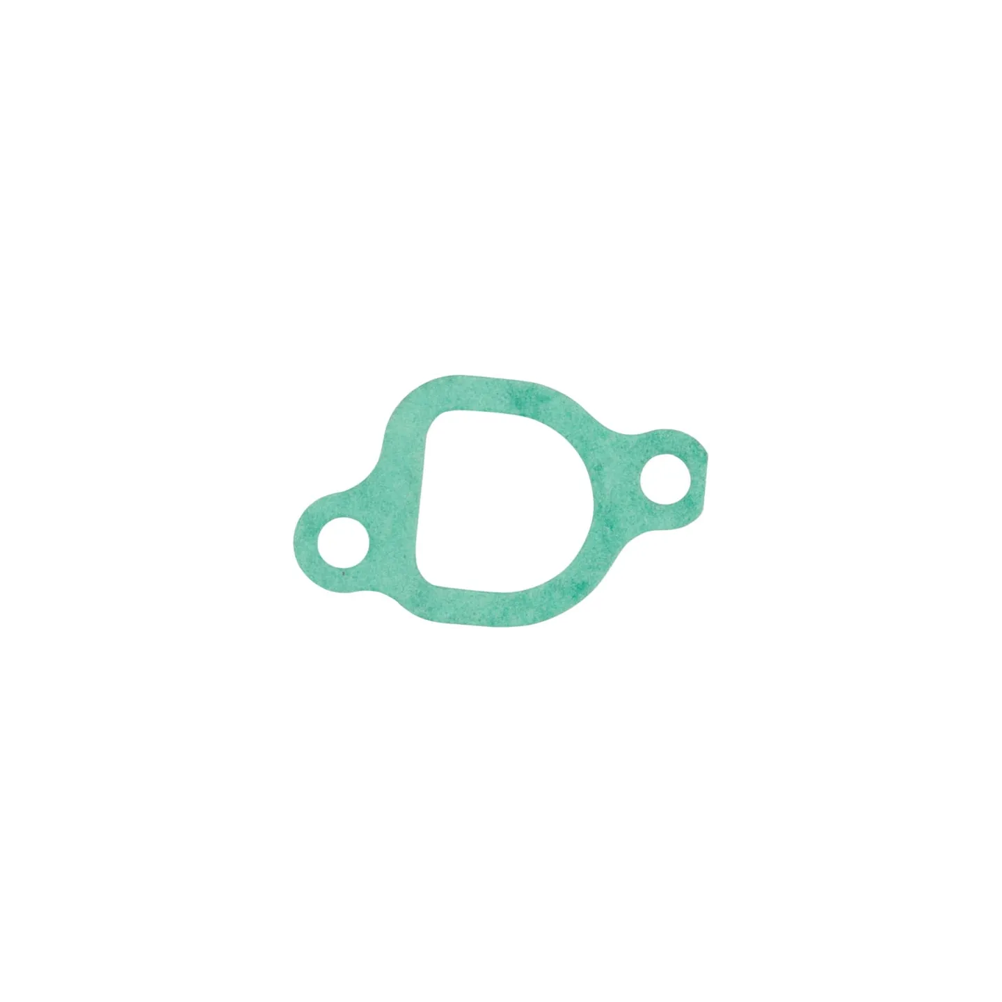 Gasket-Intake  797192 Briggs & Stratton