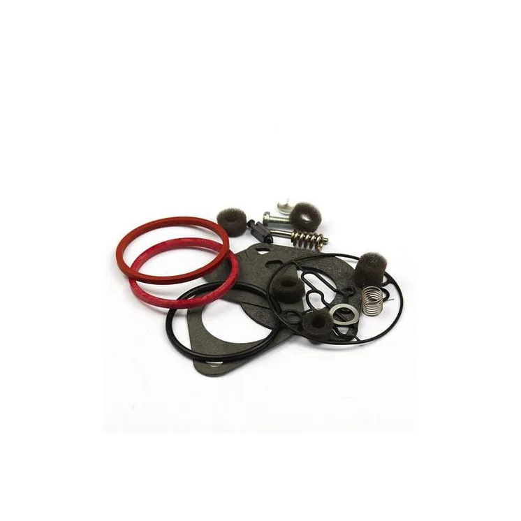 Blīvju komplekts karburators 796184 Briggs & Stratton