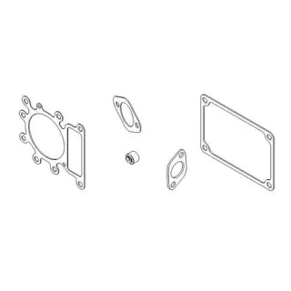 Gasket set  794152 Briggs & Stratton