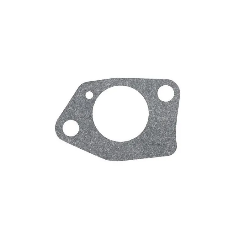 Intake gasket  797755 Briggs & Stratton