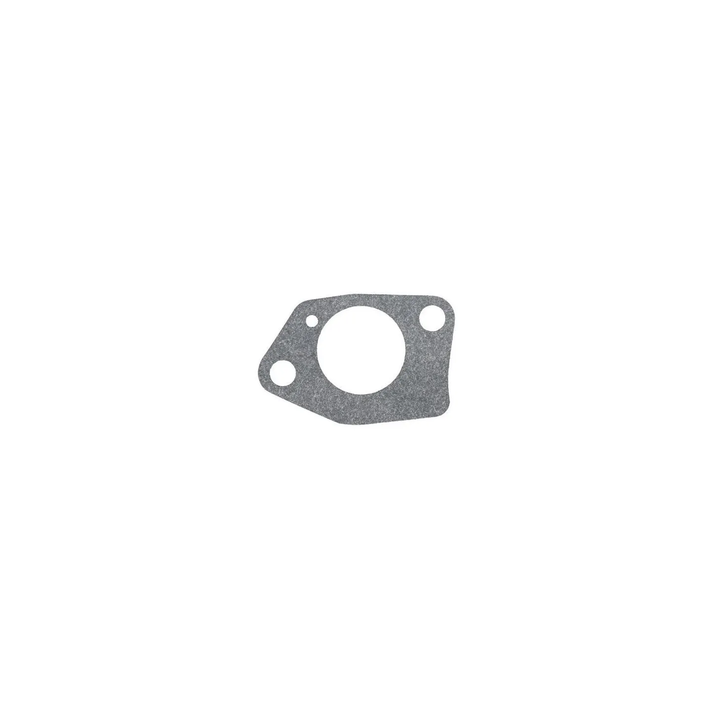 Intake gasket  797755 Briggs & Stratton