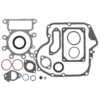 Gasket set  796181 Briggs & Stratton 697151