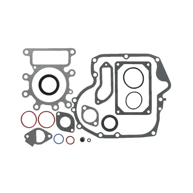 Gasket set  796181 Briggs & Stratton 697151