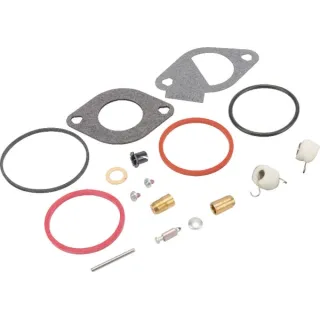 Carburettor overhaul kit  796185 Briggs & Stratton