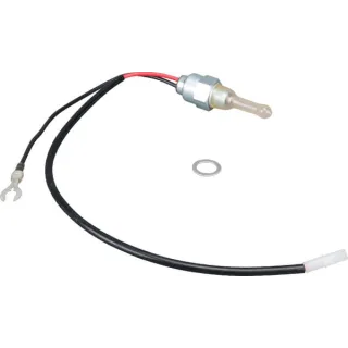 Solenoid fuel  808624 Briggs & Stratton