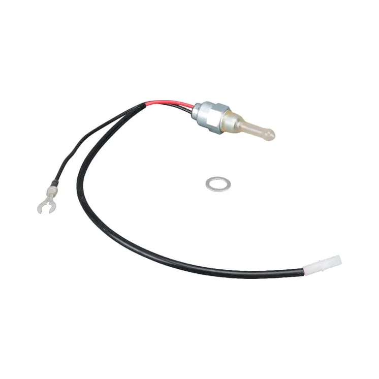 Solenoid fuel  808624 Briggs & Stratton