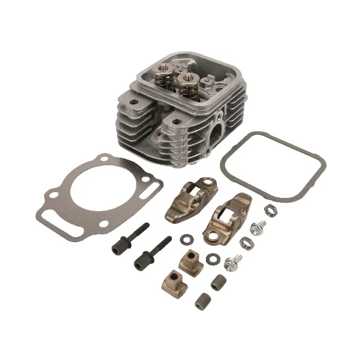 Cylinder head  809201 Briggs & Stratton 845716