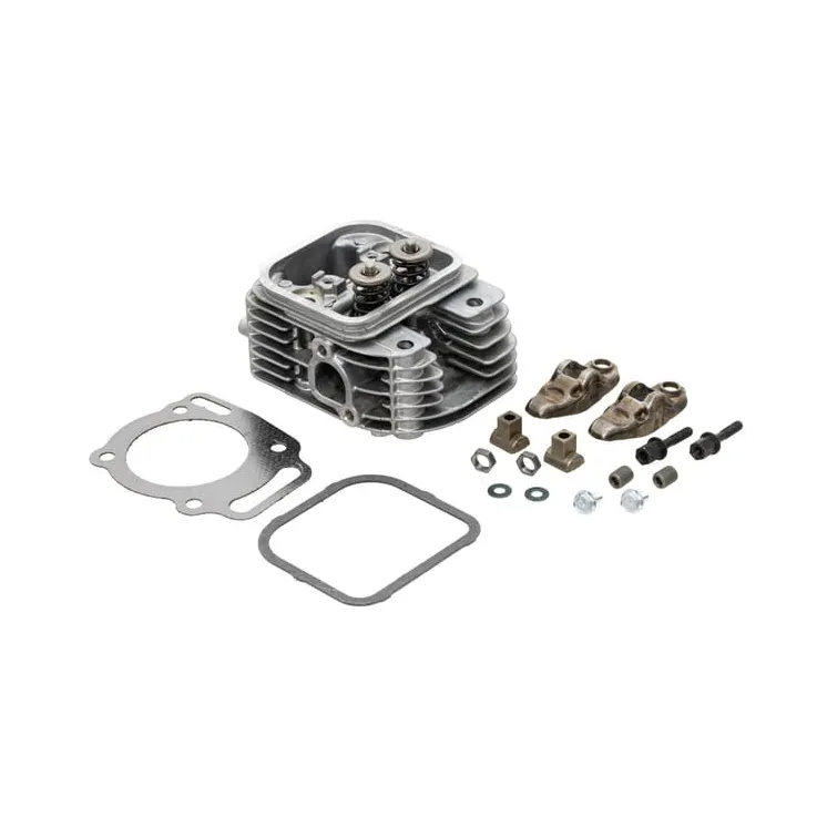 Cylinder head  809200WM Briggs & Stratton 845715