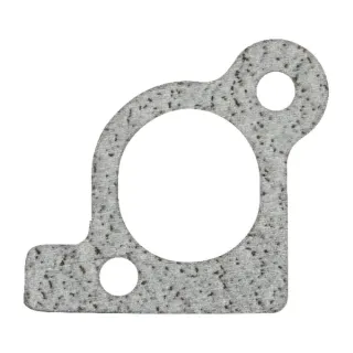 Intake gasket  806418 Briggs & Stratton