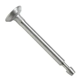 Intake valve  807680 Briggs & Stratton