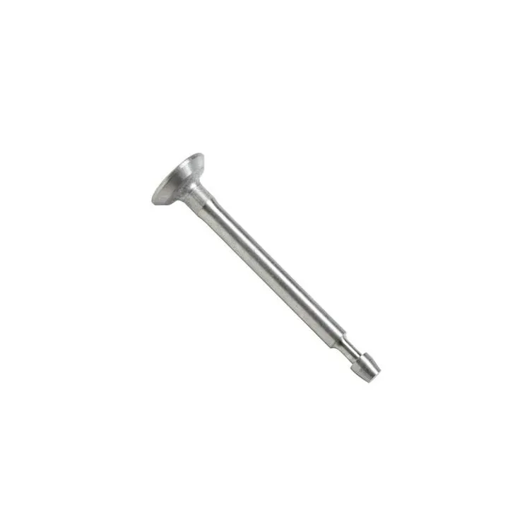 Intake valve  807680 Briggs & Stratton
