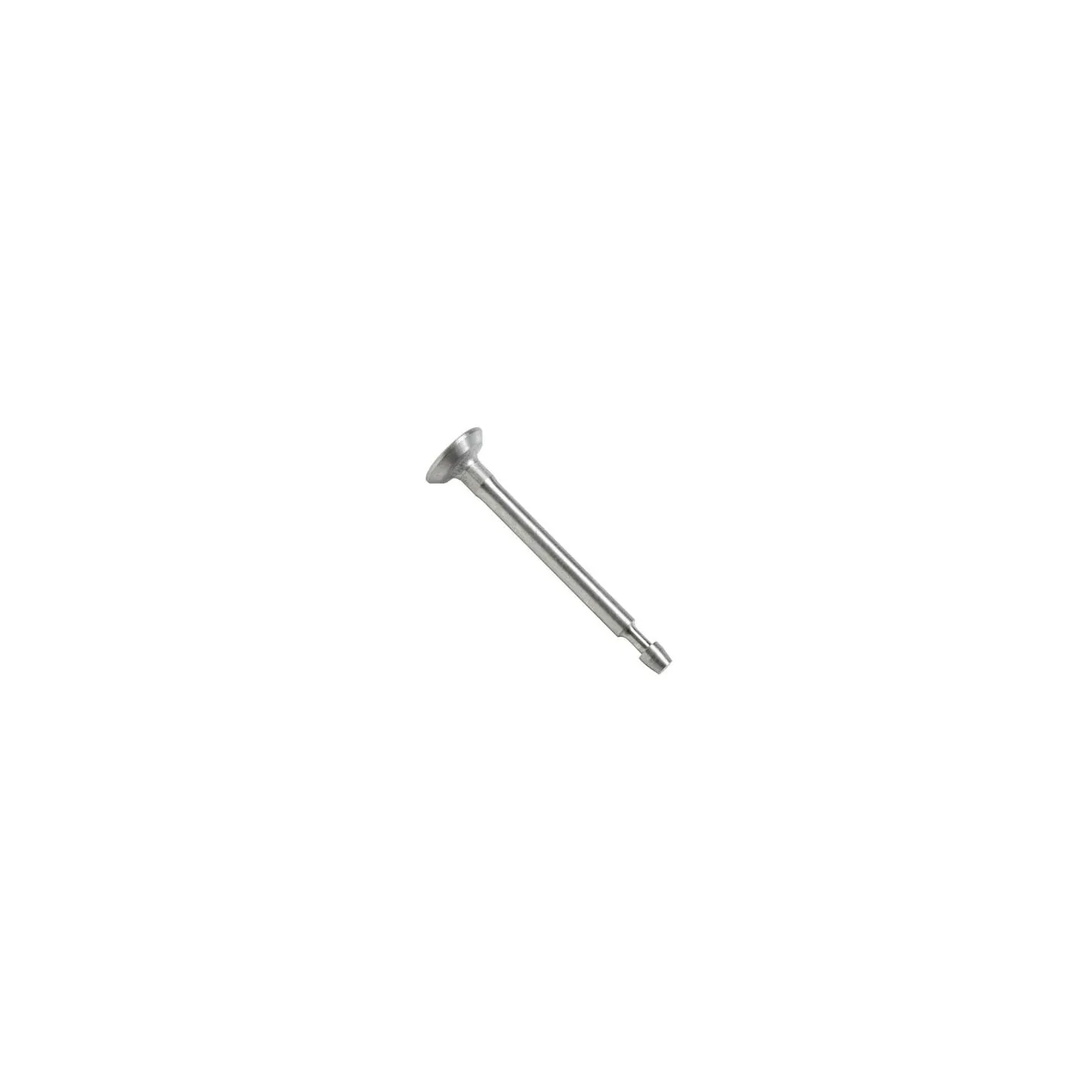Intake valve  807680 Briggs & Stratton