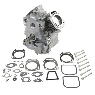 Short block, model 35, vertical  80083862 Briggs & Stratton 496241