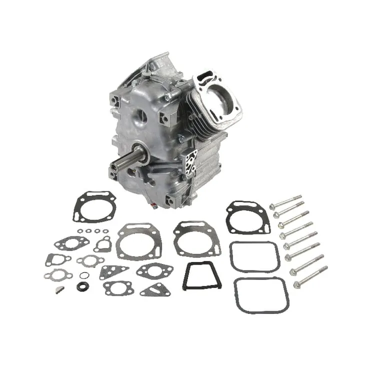 Short block, model 35, vertical  80083862 Briggs & Stratton 496241