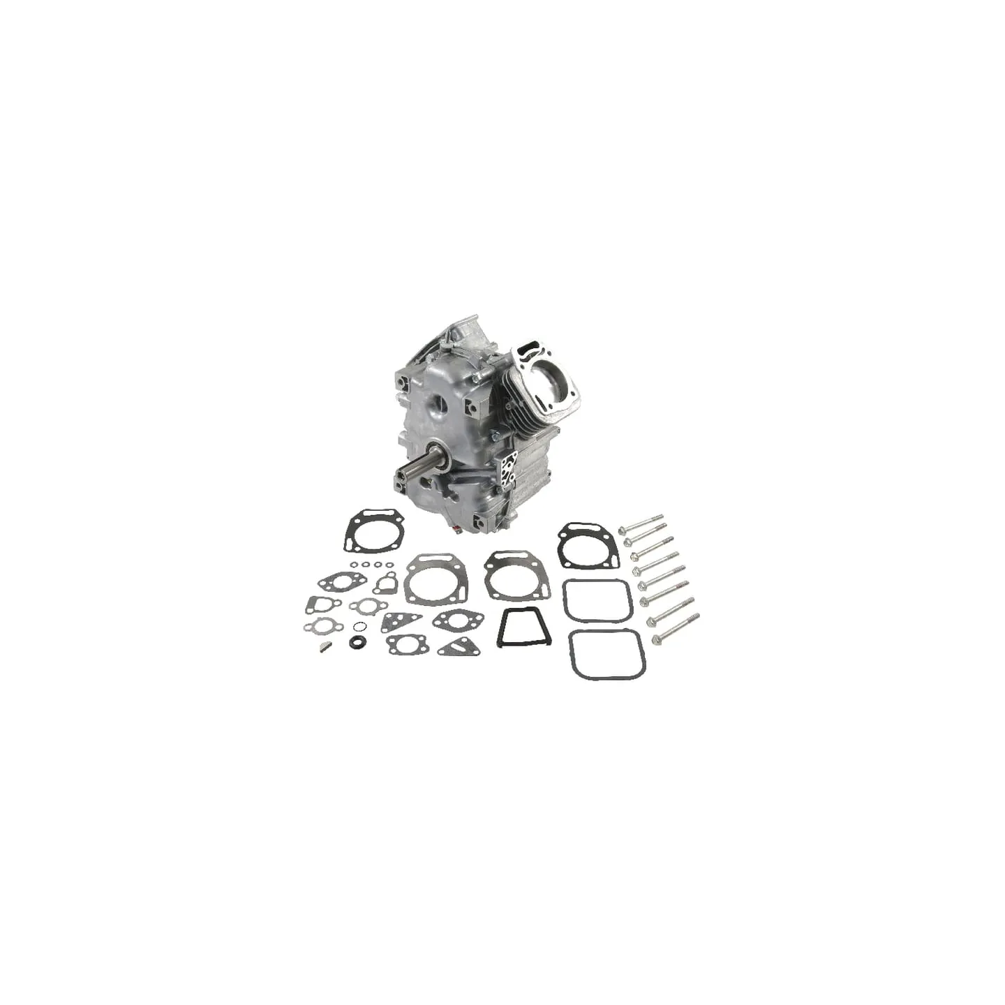 Short block, model 35, vertical  80083862 Briggs & Stratton 496241
