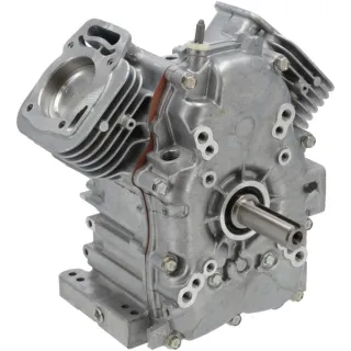 Short block (MDL 30 HS)  80083851 Briggs & Stratton 494054