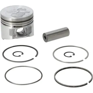 Piston assembly-010  825801 Briggs & Stratton