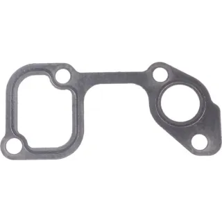 Gasket  820100 Briggs & Stratton