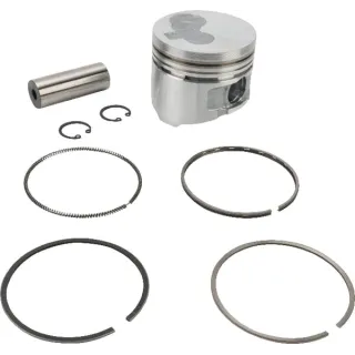 Piston complete standard  825796 Briggs & Stratton