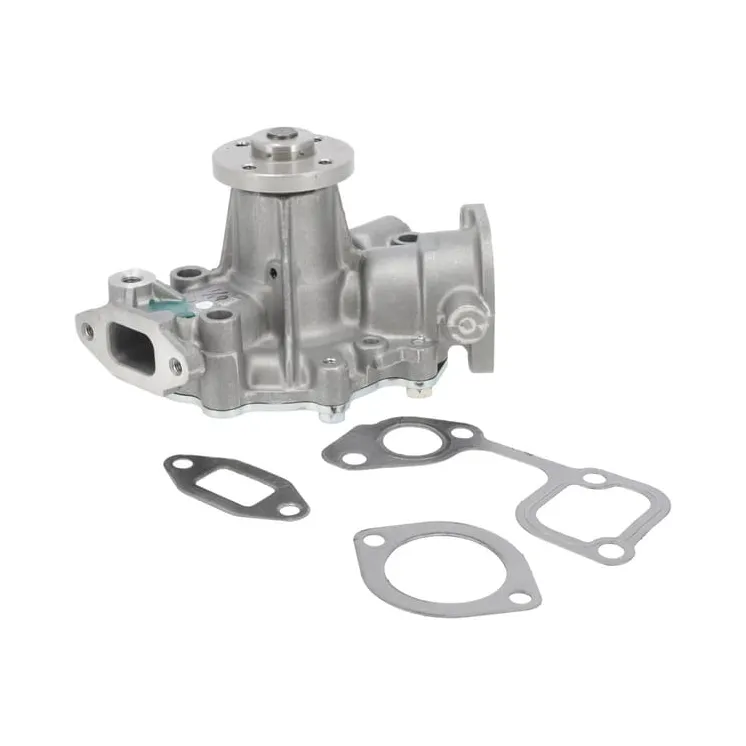 Water pump  825265 Briggs & Stratton
