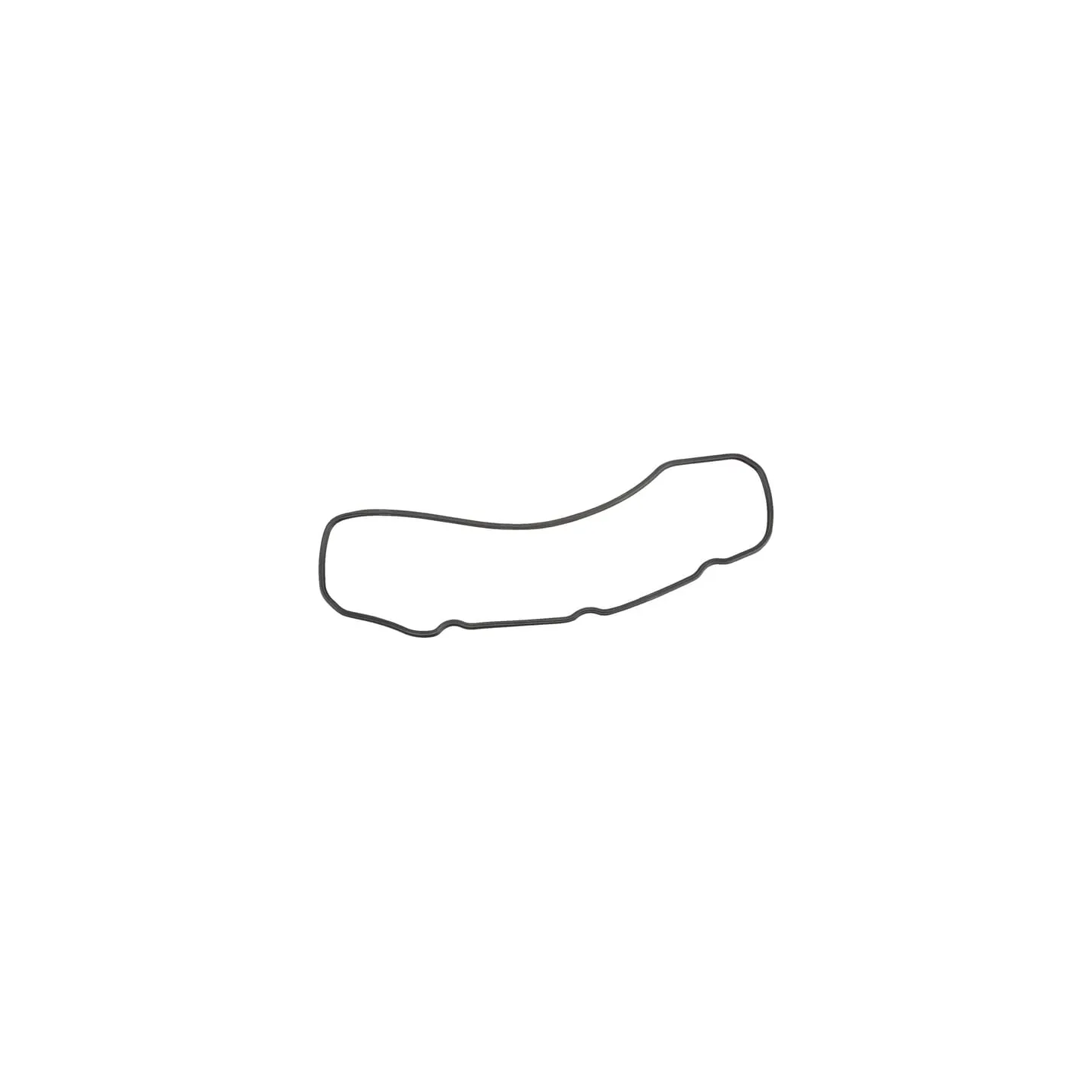 Valve cover gasket  820150 Briggs & Stratton