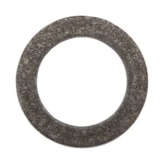 Gaspardo disks 820582 Briggs & Stratton