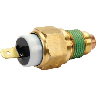 Ūdens temperatūras zonde 820208 Briggs & Stratton