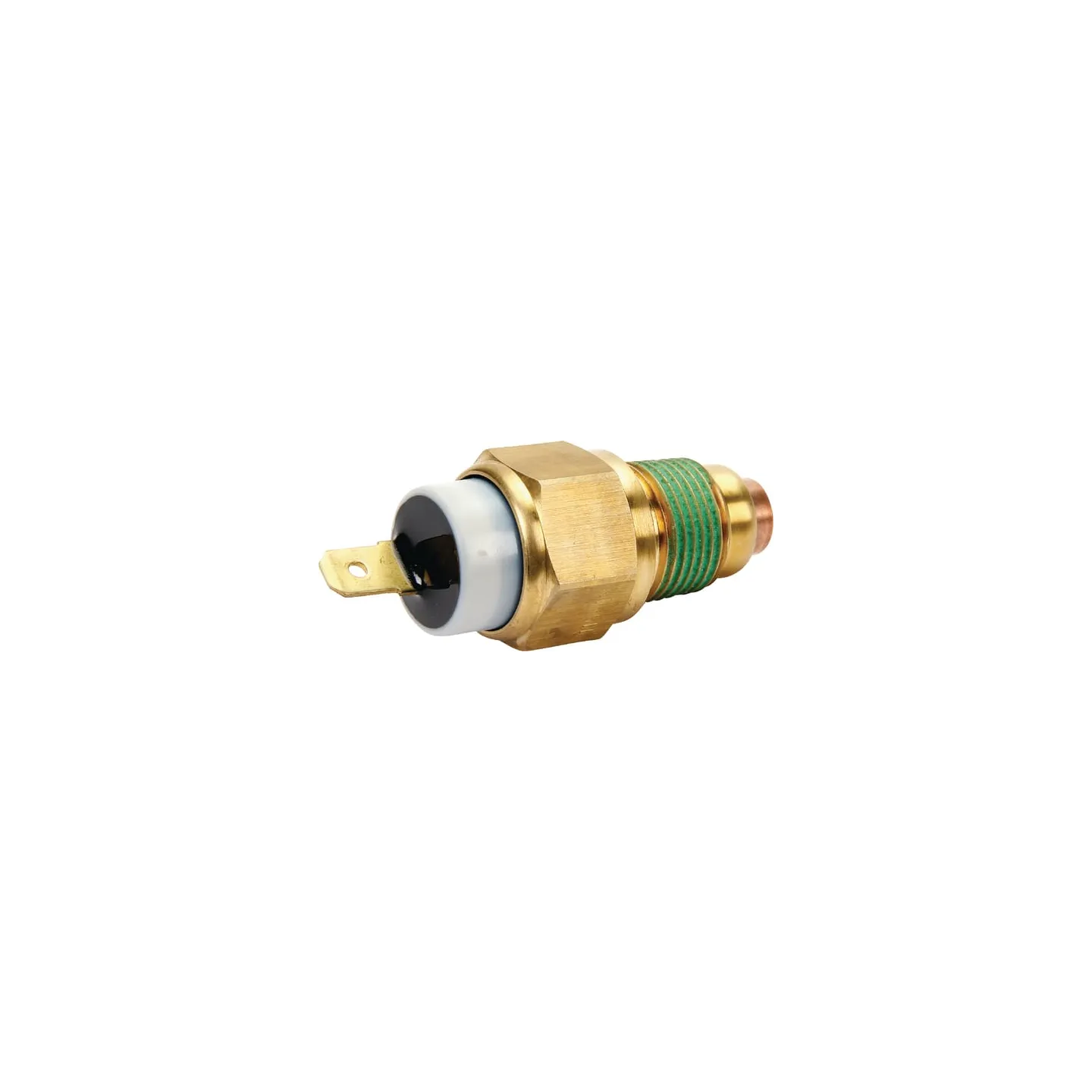 Ūdens temperatūras zonde 820208 Briggs & Stratton