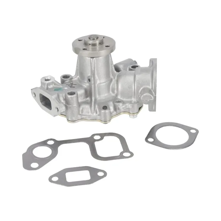 Ūdens sūknis 825639 Briggs & Stratton